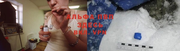 винт Алексин