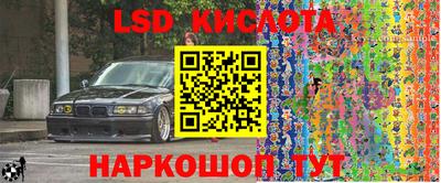 шишки Будённовск