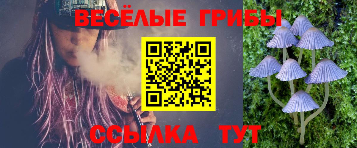 Псилоцибиновые грибы Cubensis  Лесосибирск  Псилоцибиновые грибы Cubensis 