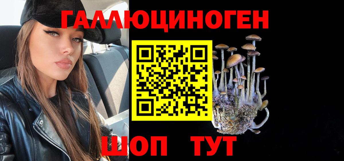 Галлюциногенные грибы прущие грибы  Галлюциногенные грибы Psilocybine cubensis  Лесосибирск  Вход с VPN 